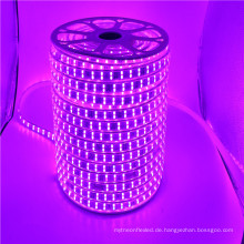 110-120 V 220 V AC 5050 3000 Karat warmweiß Flache Flexible 5050 120 leds / m rgb led-streifen